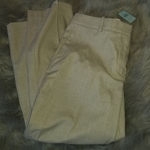 Ann Taylor's petite and curvy dress pants